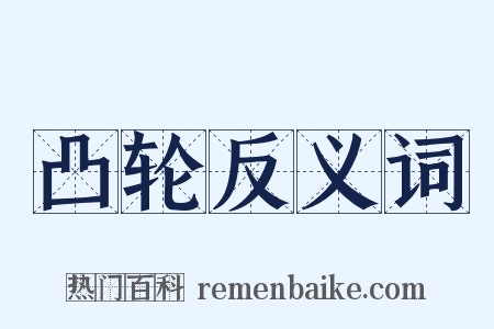 凸轮反义词是什么意思的图片